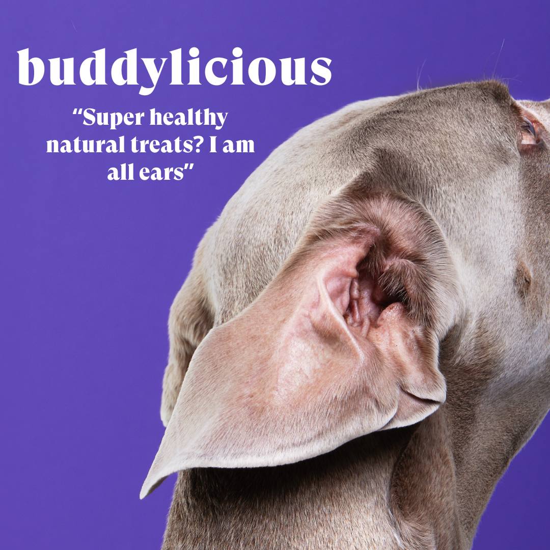 Buddylicious Serrano Ham Treats