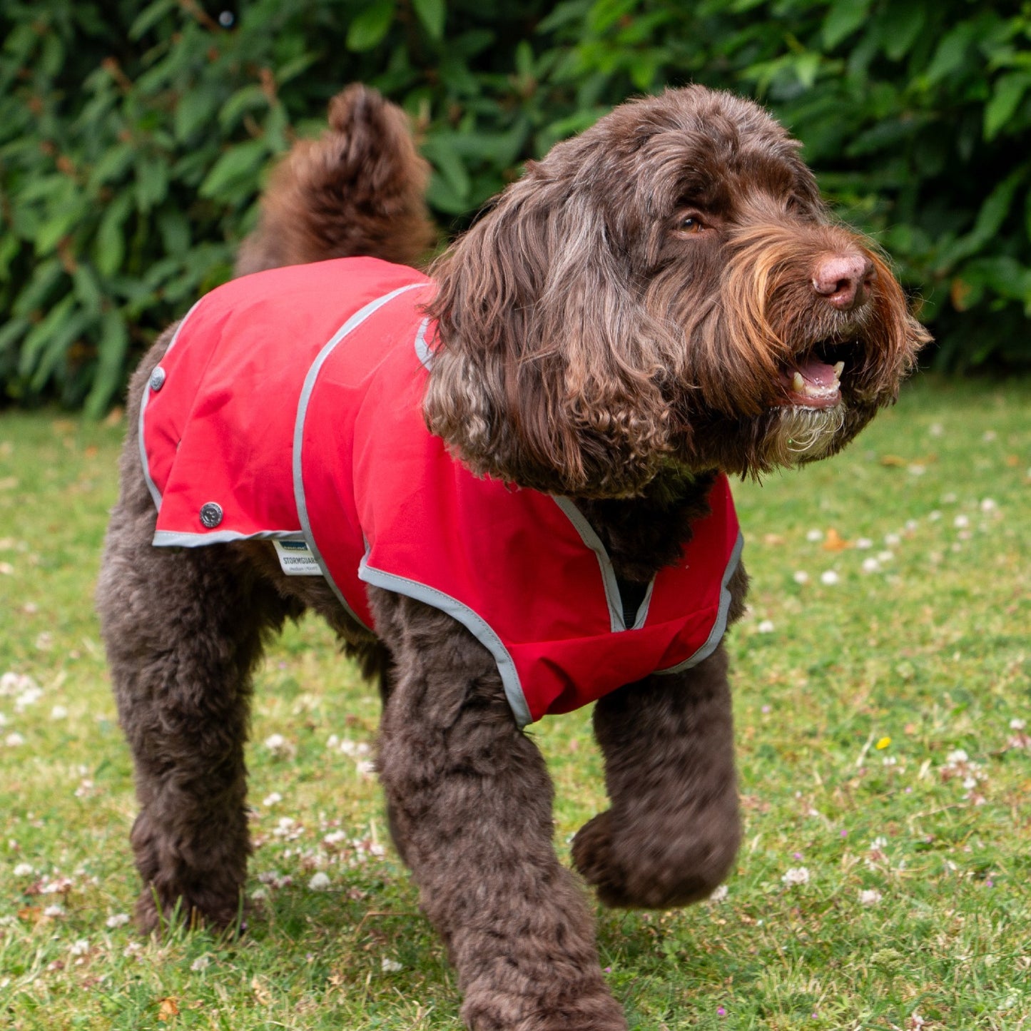 Stormguard Softshell Waterproof Dog Coat