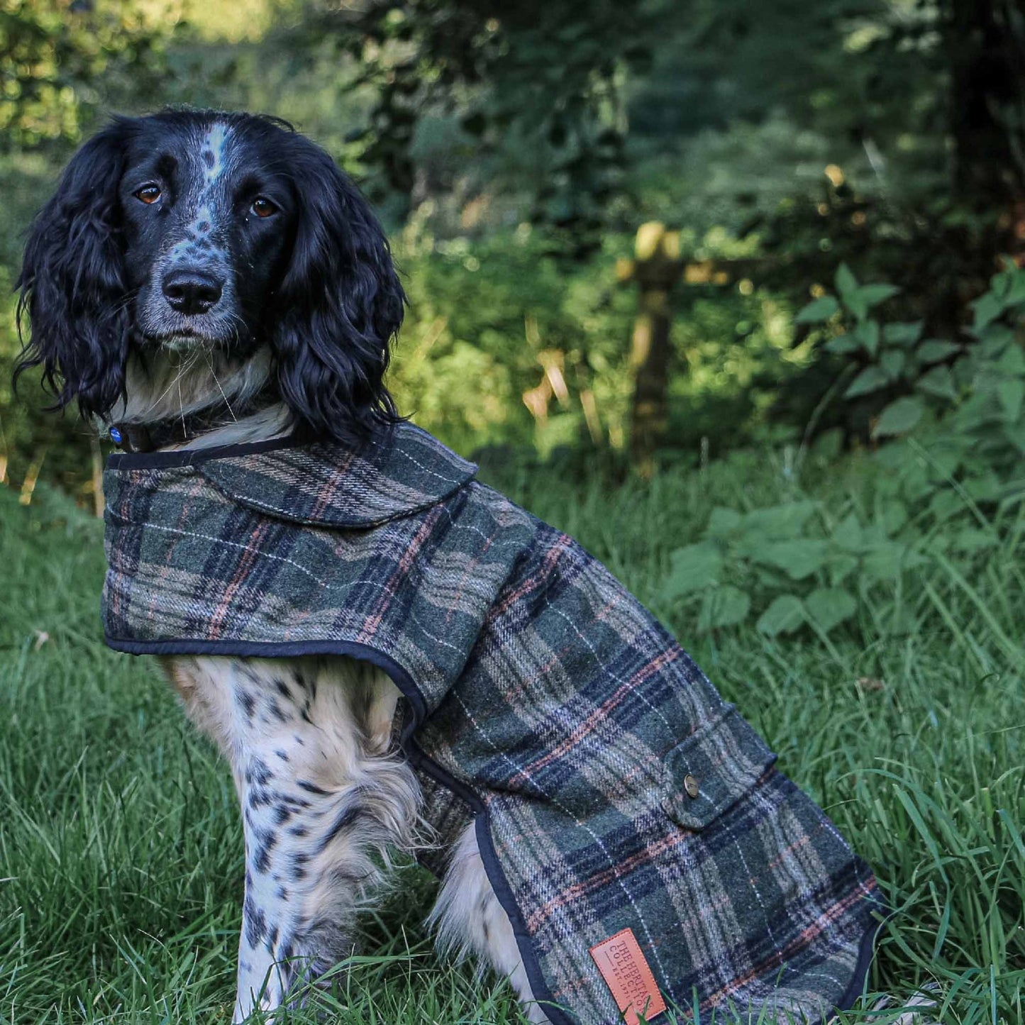 Ancol Heritage Dog Coat - Large and X Large