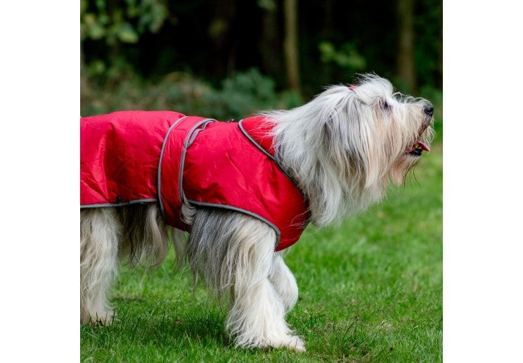Ancol Stormguard Waterproof Dog Coat