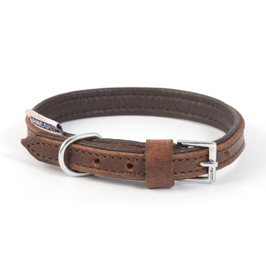 Vintage Leather Padded Dog Collar - Soft and Comfortable