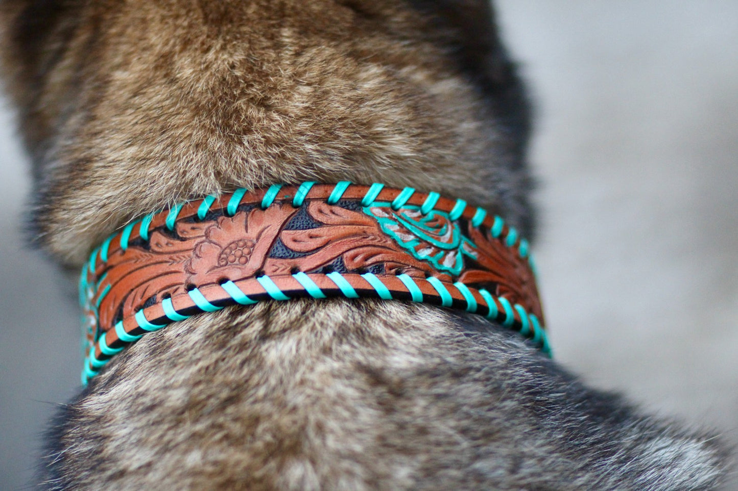 Hand Tooled Brown Padded Leather Dog Collar