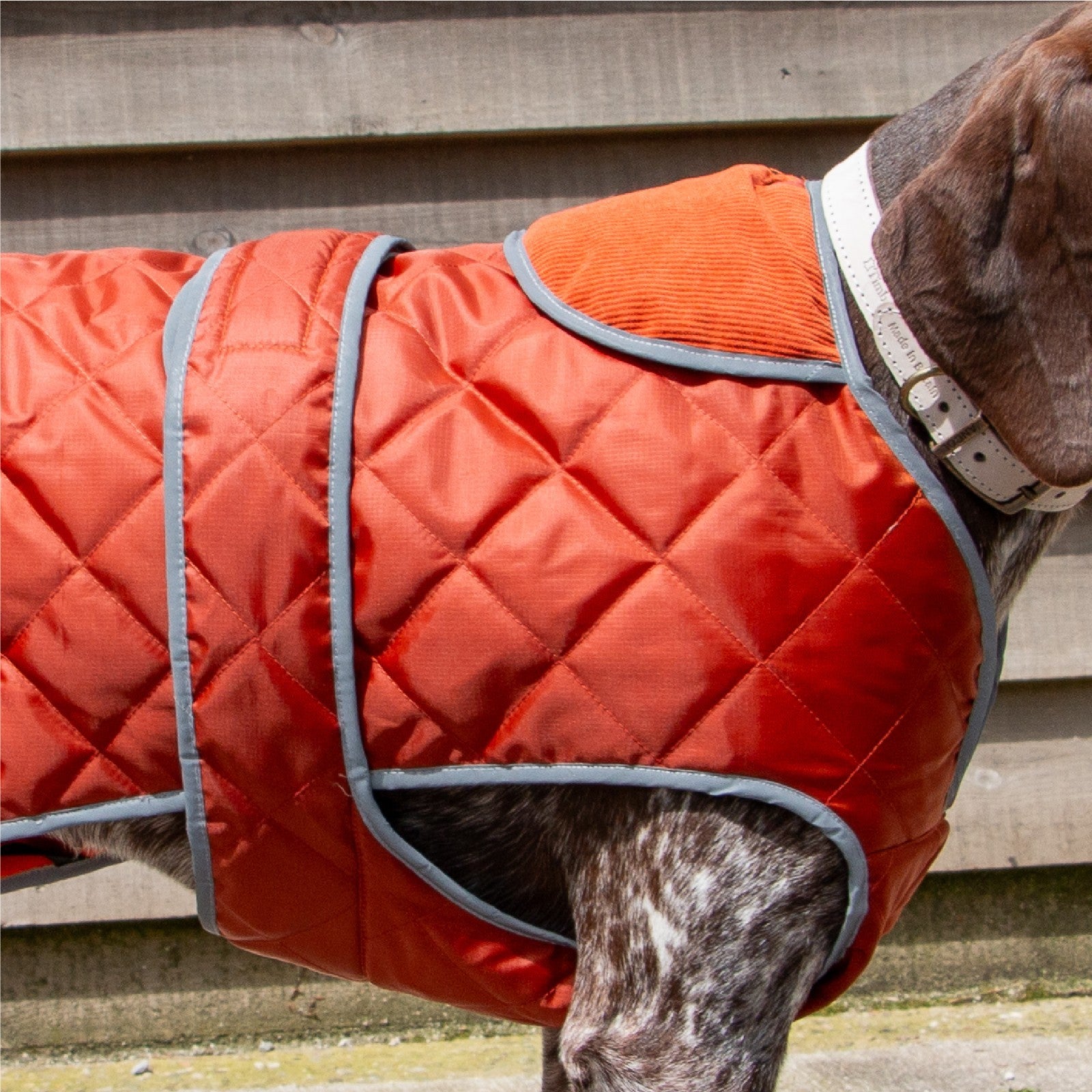 Ancol Heritage Quilted Waterproof Dog Coat