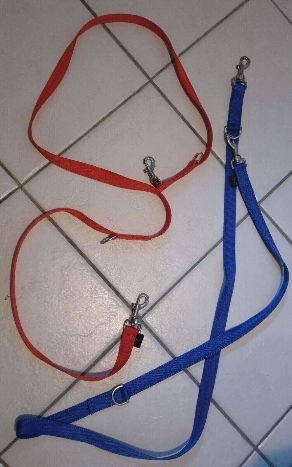 Official Libby's webbing 2m Double trigger Training Lead DOG LEAD / ANIMAL LEAD