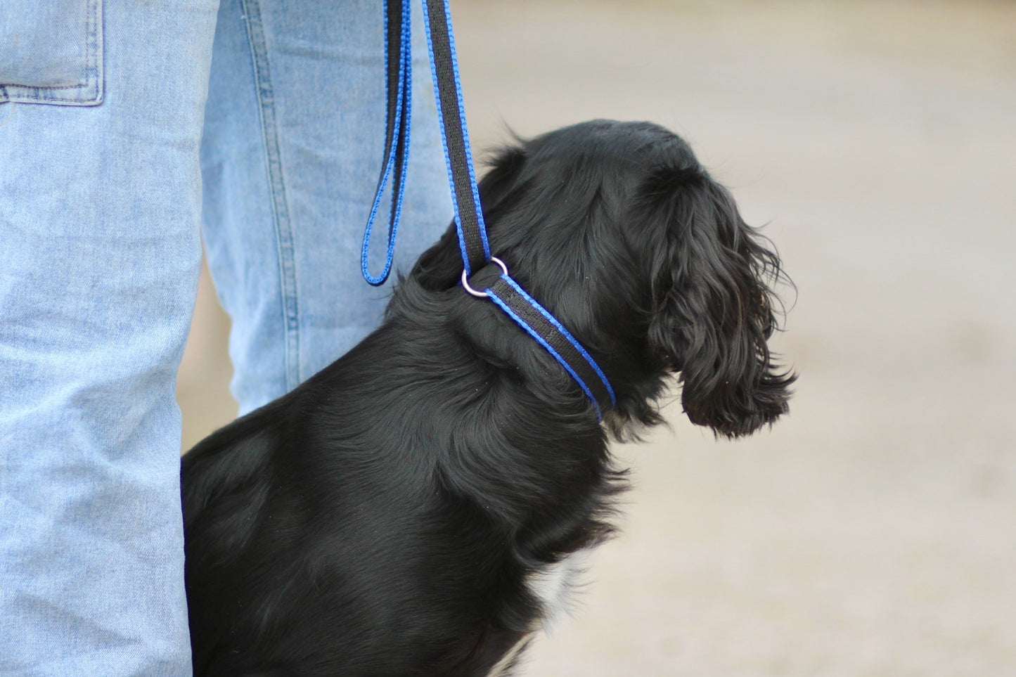 Official Libby's Webbing Slip Lead