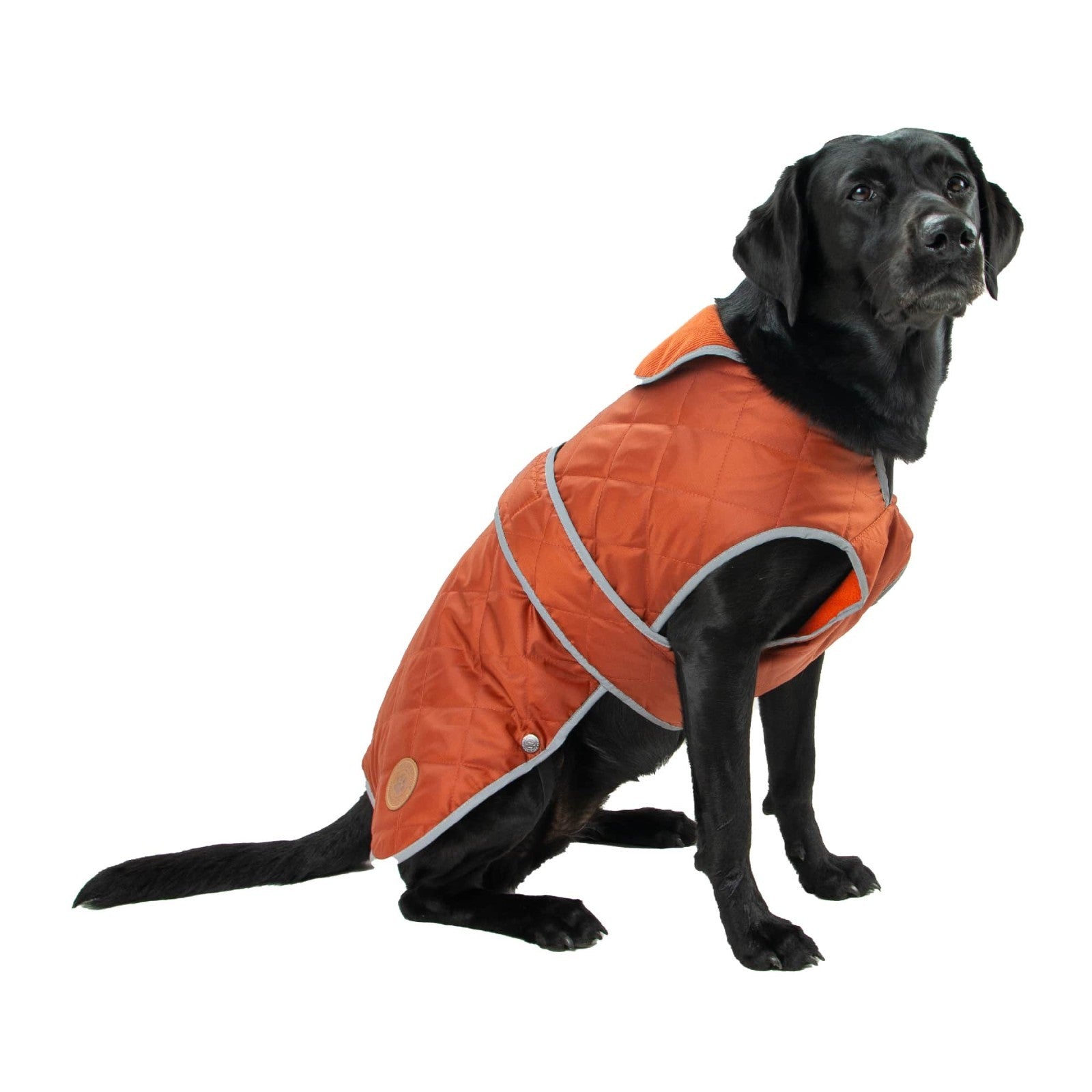 Ancol Heritage Quilted Waterproof Dog Coat