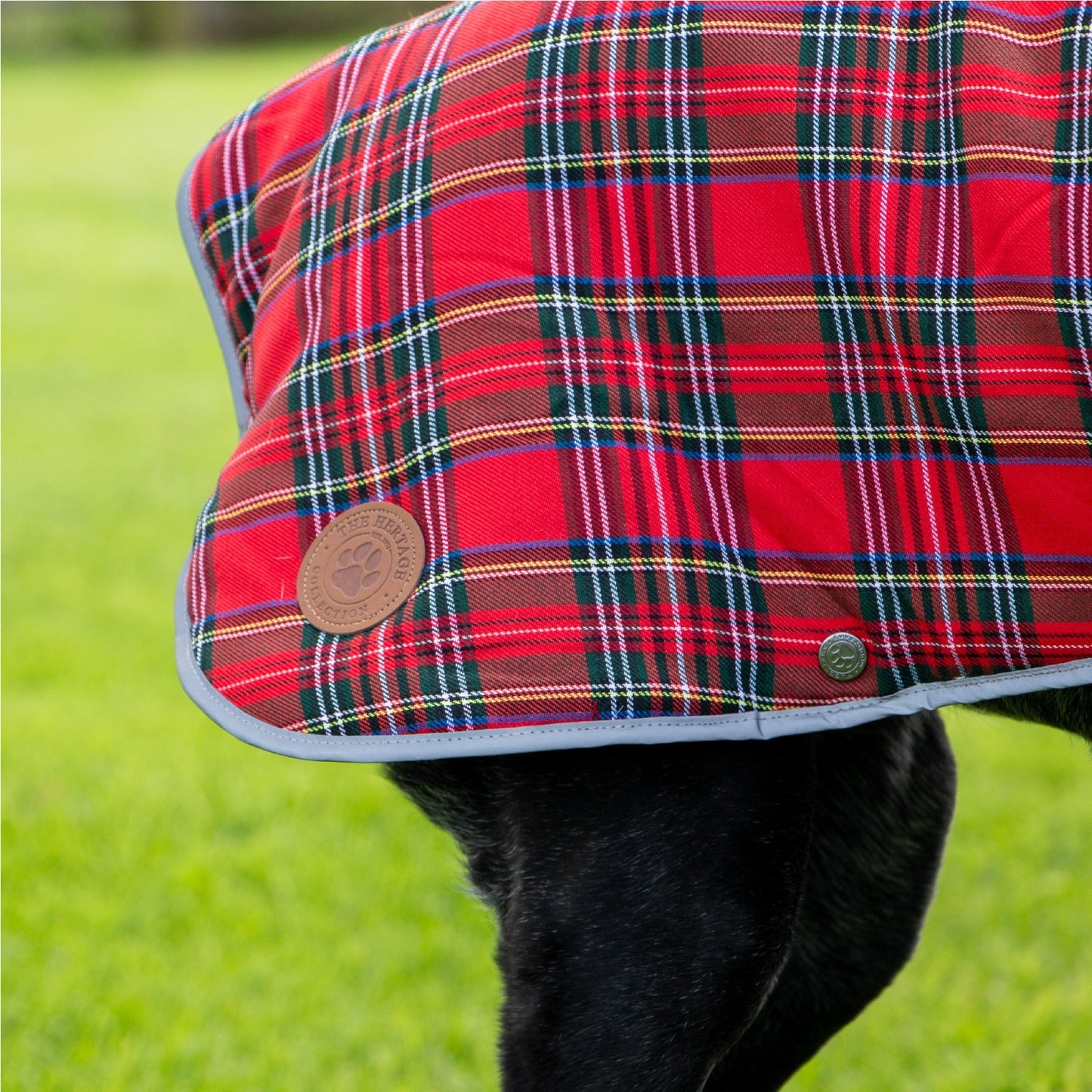 Ancol Muddy Paws Highland Tartan Dog Coat - Red