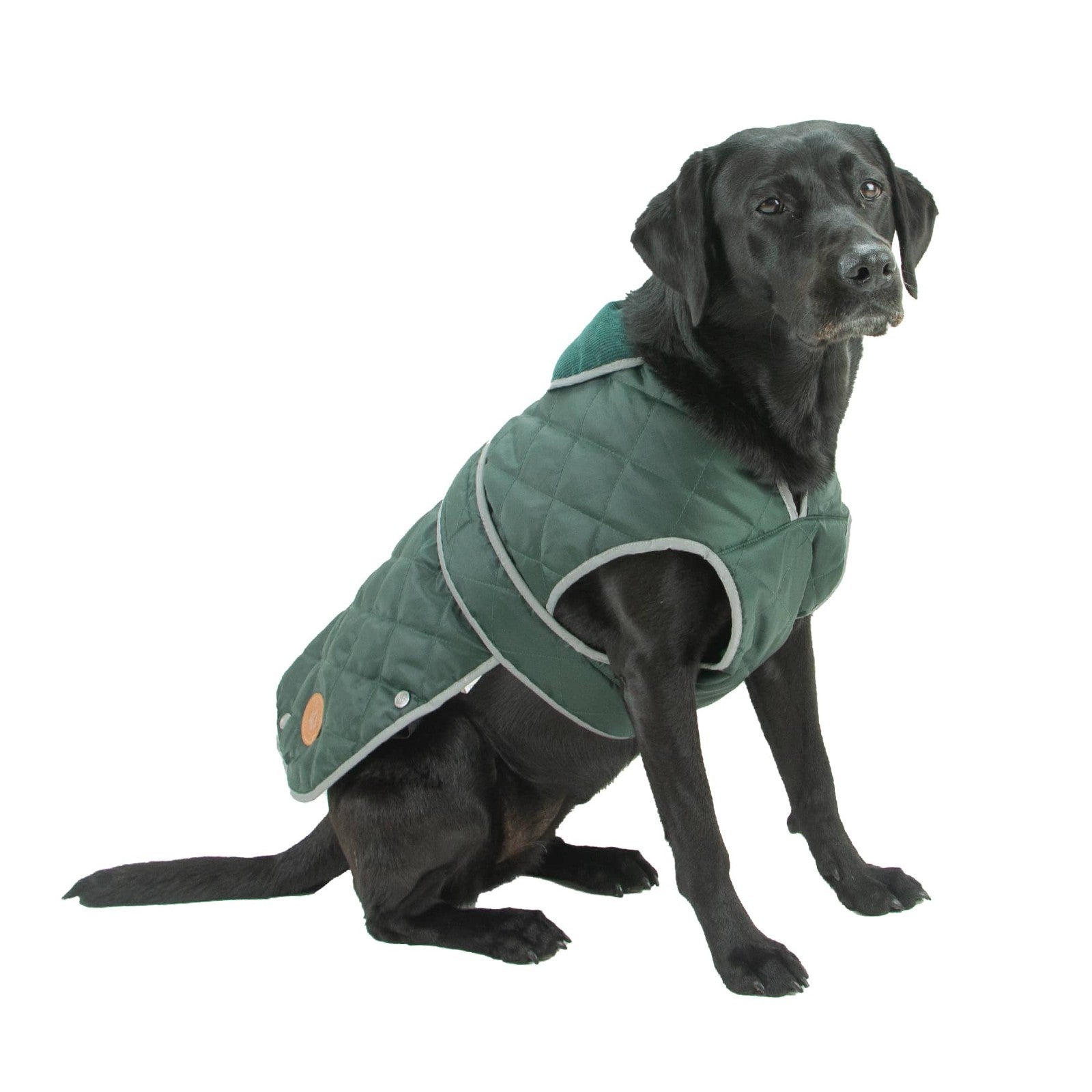 Ancol Heritage Quilted Waterproof Dog Coat