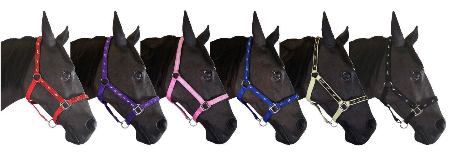 Padded Headcollar / Halter - Small Pony Cob Full Extra Full