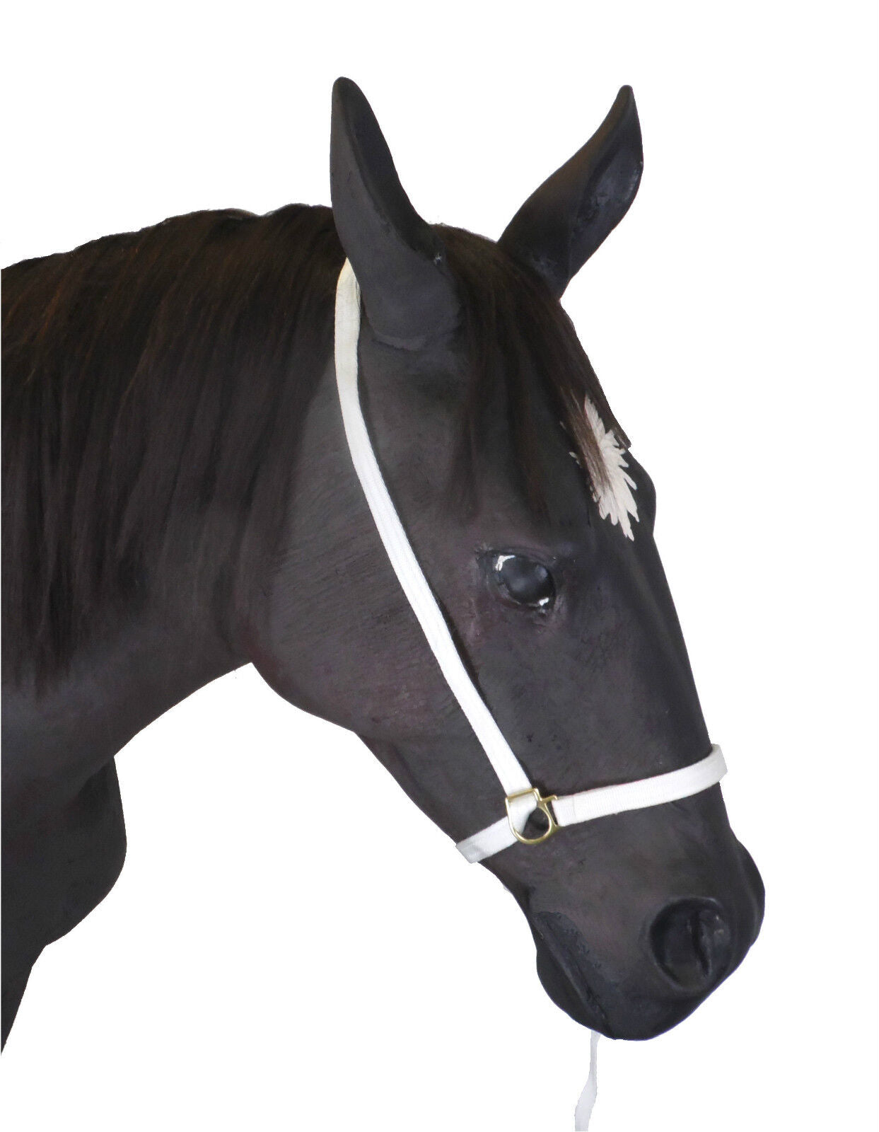 Official Libby's Webbing Show Halter 8" or 12" Nose - Horse / Pony Equine Halter