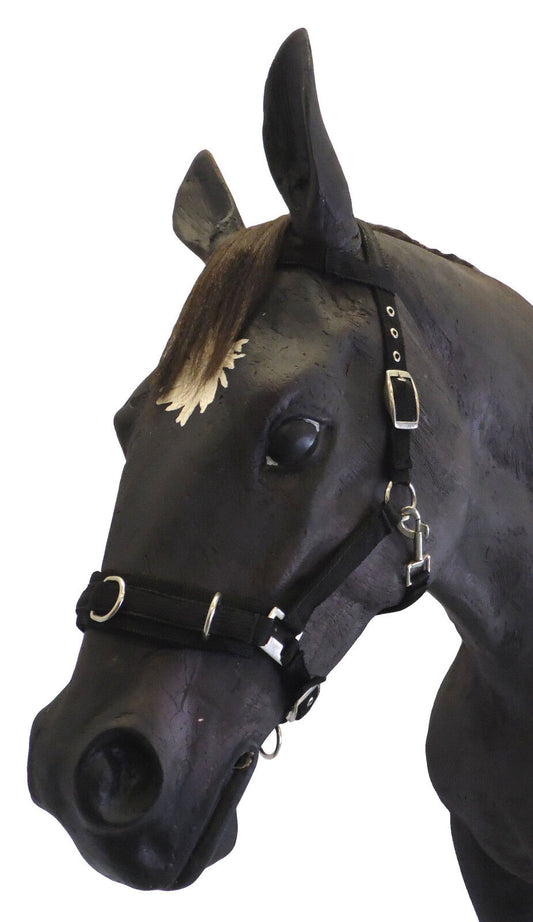 Official Libby' s Lunge Cavesson webbing  Mini, Small, Pony, Cob, Full, Ex Full