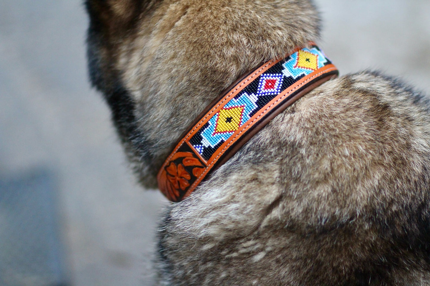 Hand Tooled Brown Padded Beaded Leather Dog Collar