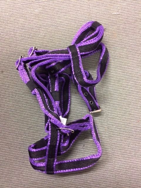Libby's Standard Bridle Small Pony Pony Cob Full X Full - OLD STOCK REDUCED!!!!