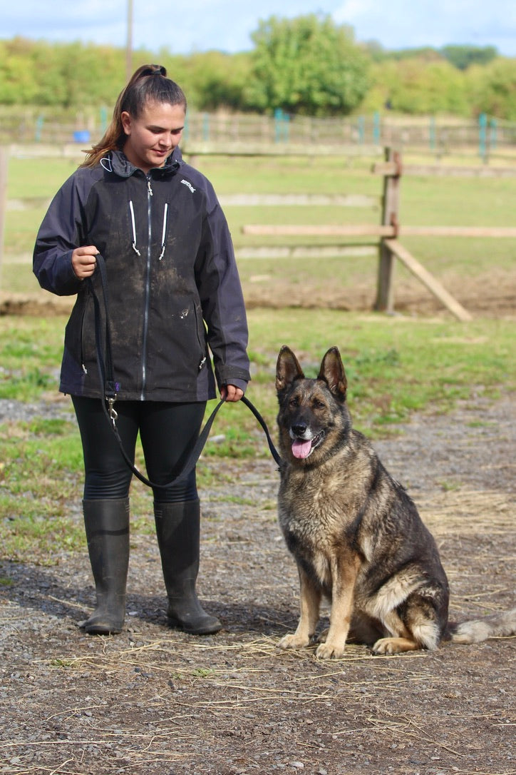 Cushion Web Double Ended Training Lead