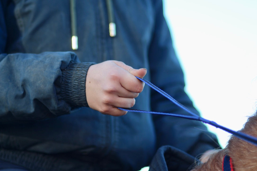 Loop Handled Reins (R.D.A)