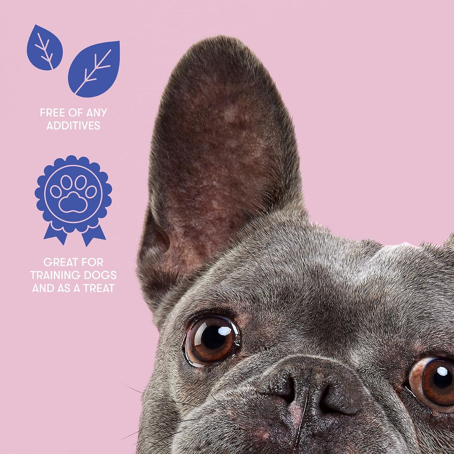 Buddylicious Pork Crunchies Dog Treats