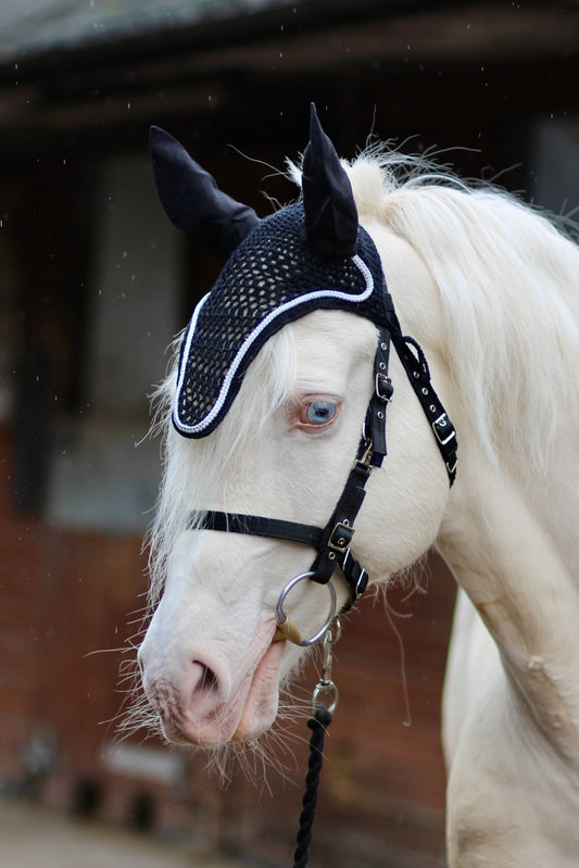 Knitted Fly Bonnet with ears