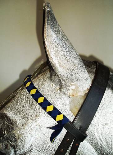 Velvet Show Browbands PONY,COB,FULL, 18 COLOURS!