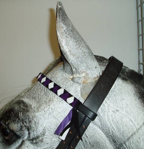 Velvet Show Browbands PONY,COB,FULL, 18 COLOURS!