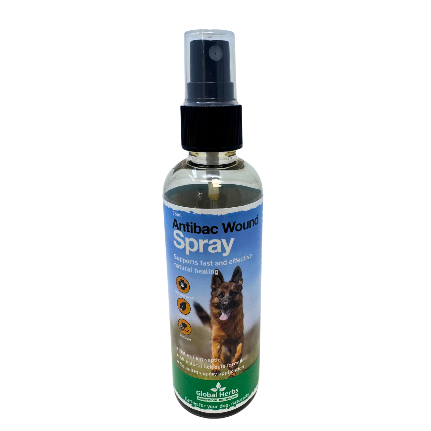 Antibacterial wound spray 75ml - Global Herbs - Canine