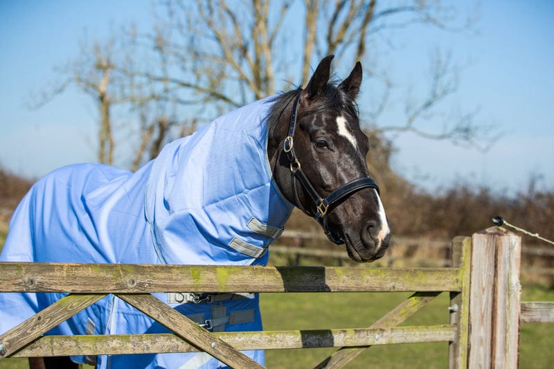 0g Detachable Neck Turnout Rug - Cornflower