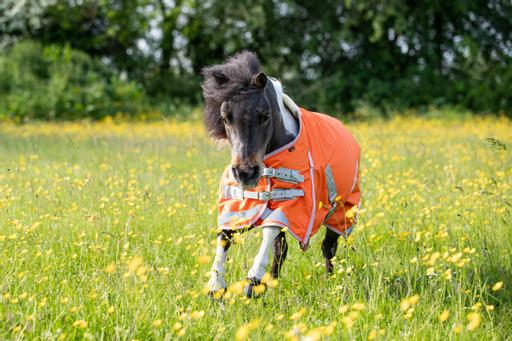 MINI 50g Turnout Rug - Orange