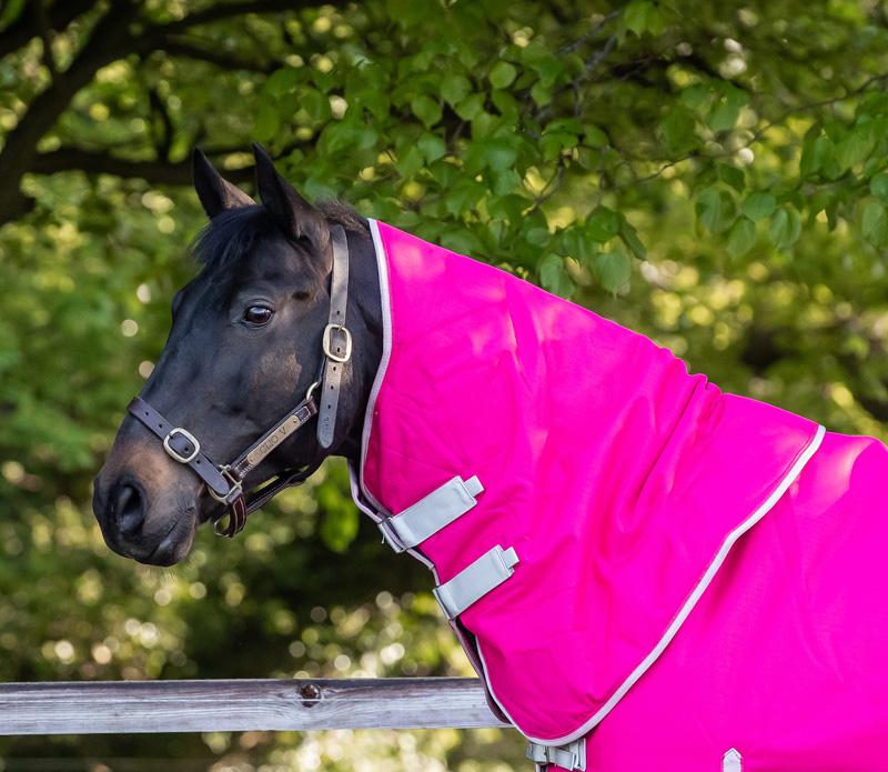 100g Pink Turnout Rug Neck Cover