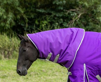 100g Purple Turnout Rug Neck Cover