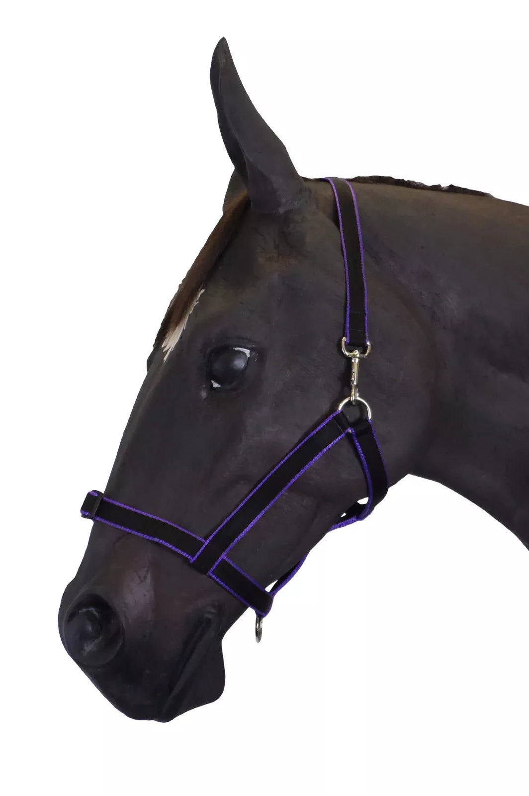 Treby Headcollar