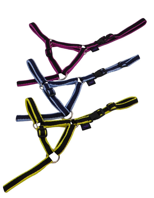 Dinky Headcollar - Mini, Alpaca, Llama, Sheep, Foal