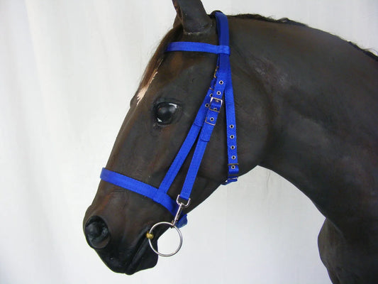 Schooling Bridle