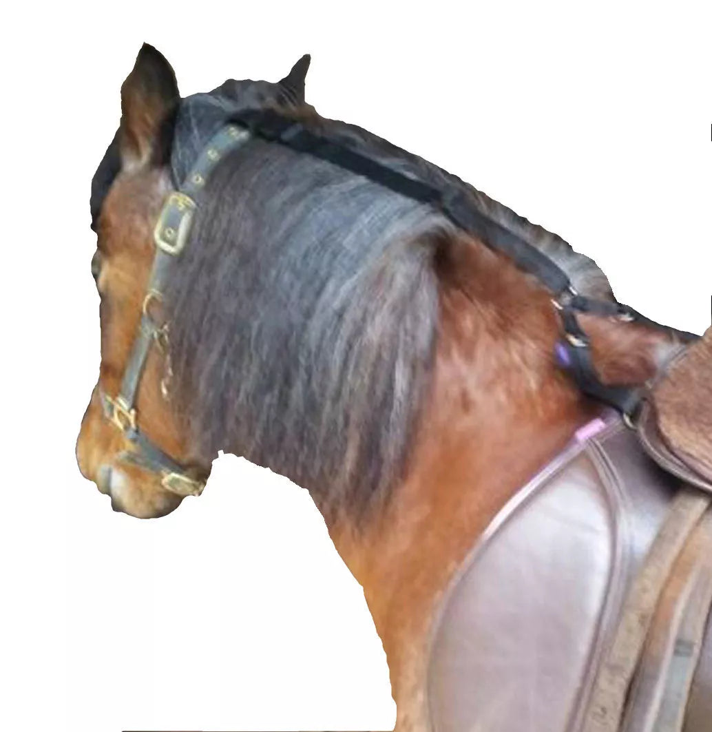 Daisy Reins