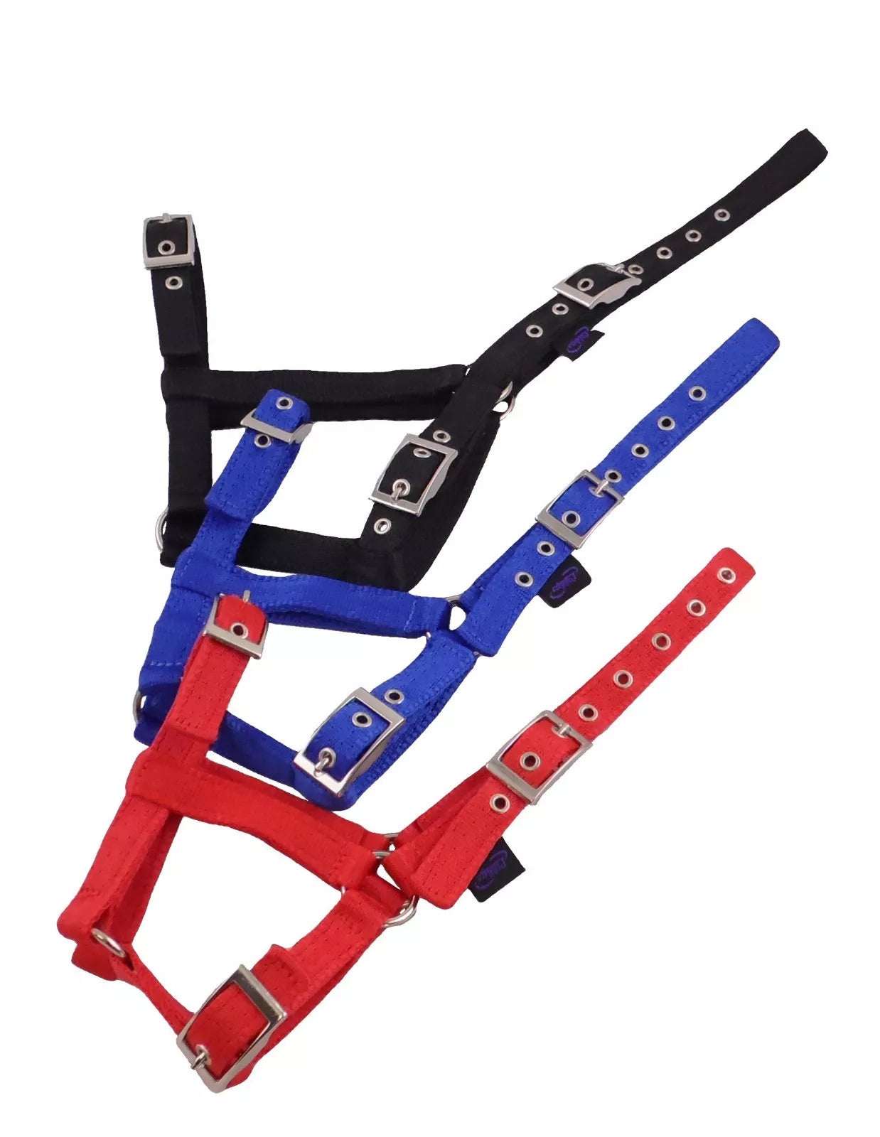 Foal Headcollar