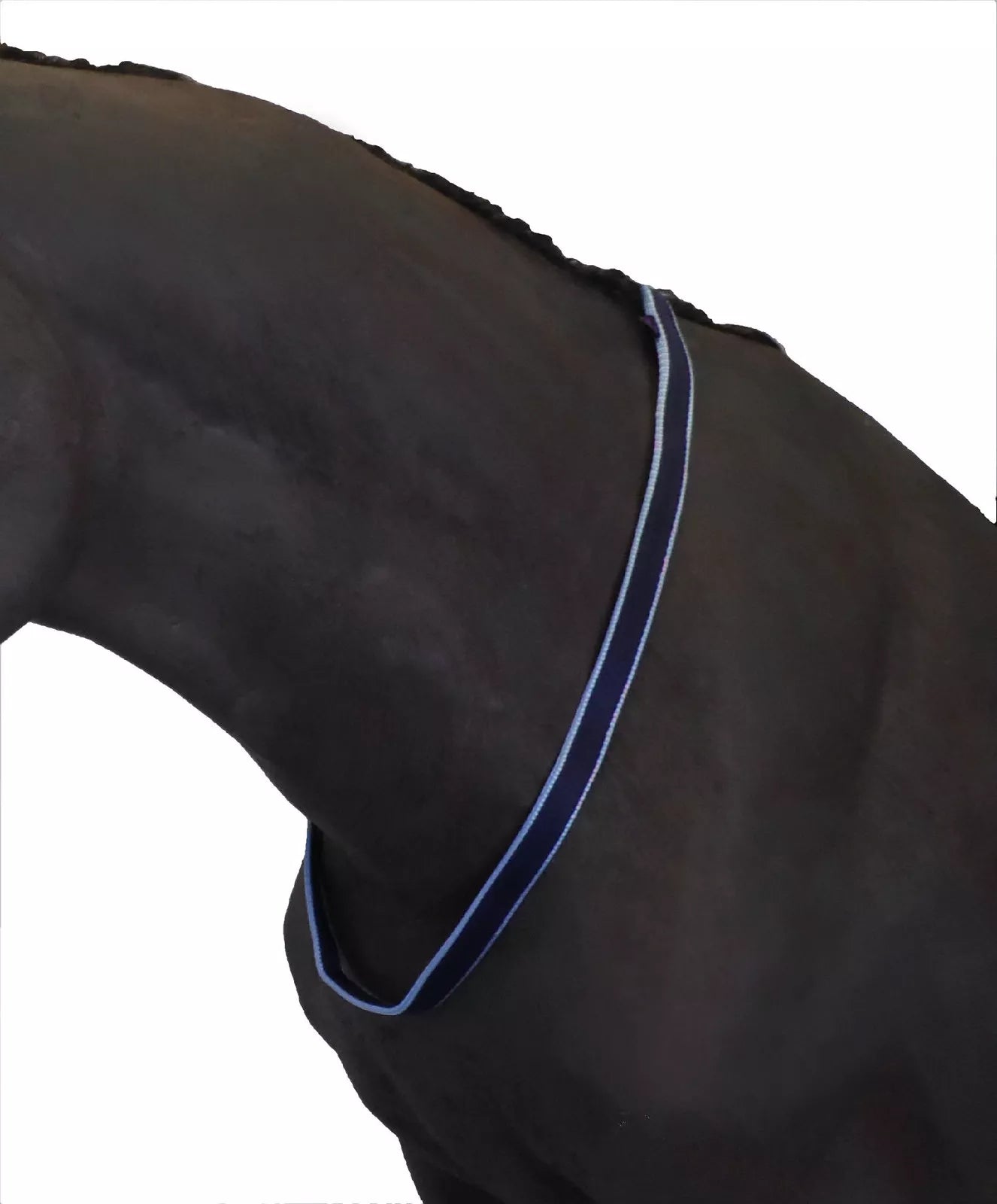 Neckstrap