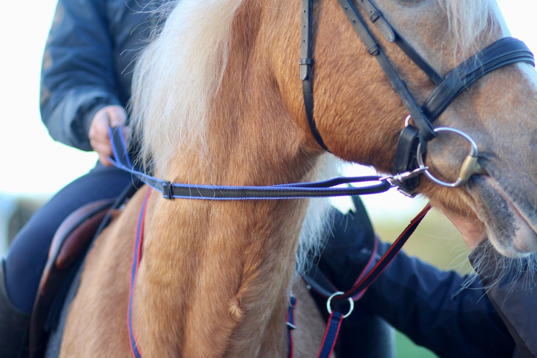 Loop Handled Reins (R.D.A)