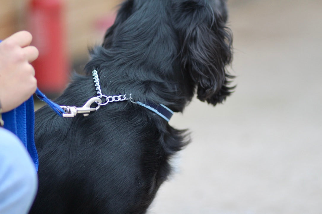 Check Chain Collar