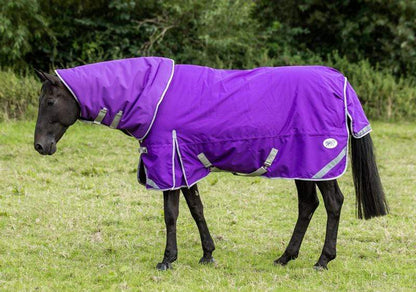 50g Detachable Neck Turnout Rug - Purple