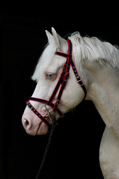 Standard Bridle - Flash Noseband