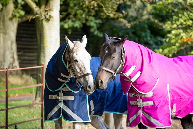 450g Ultimate Fixed Neck Turnout Rug - Mulberry