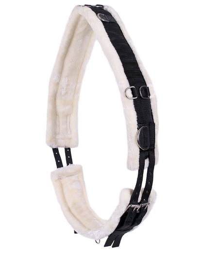 Padded Lunging Roller for Horse Training Schooling