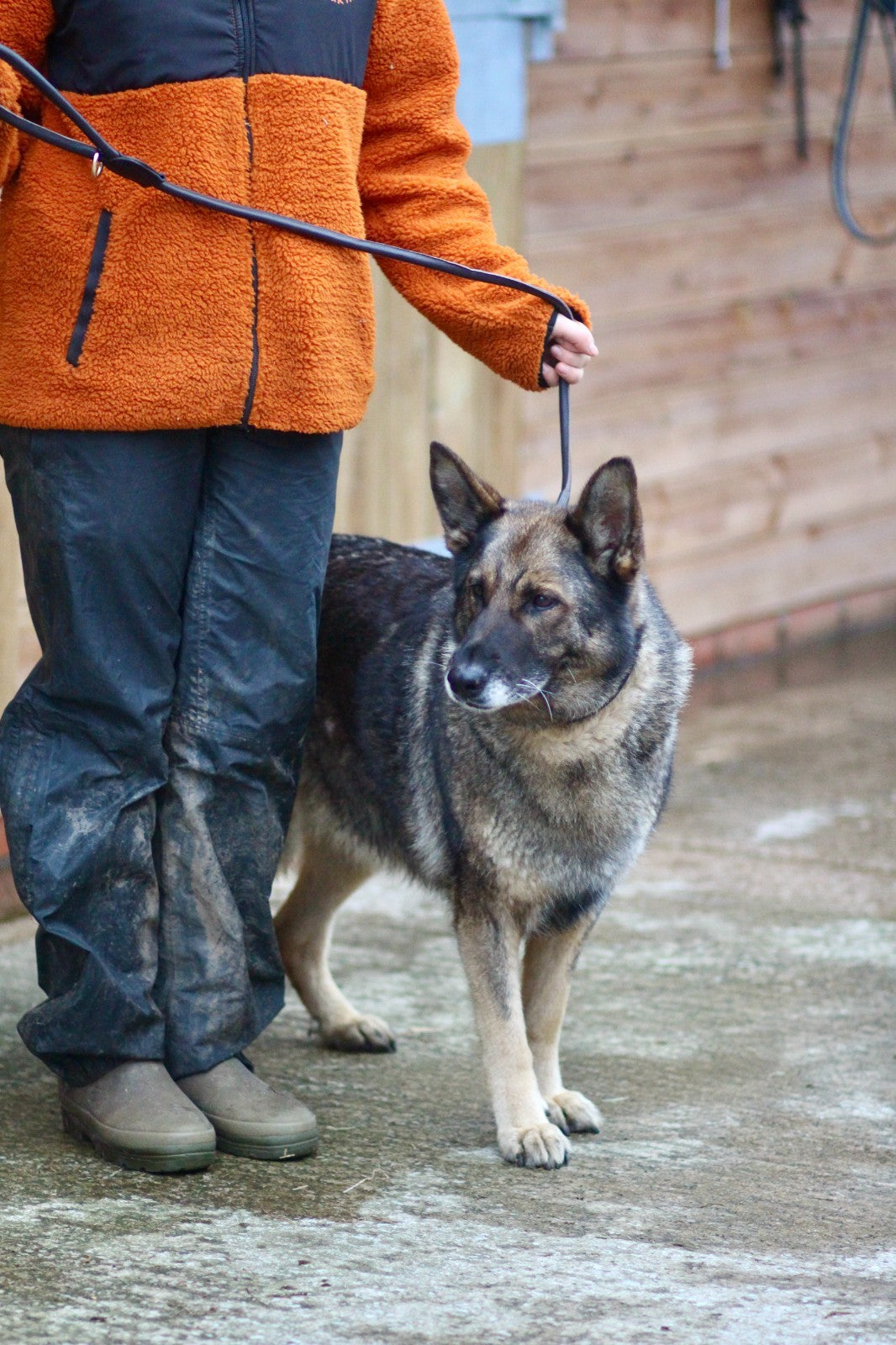 Soft Rolled Leather Clip Lead - Black and Brown