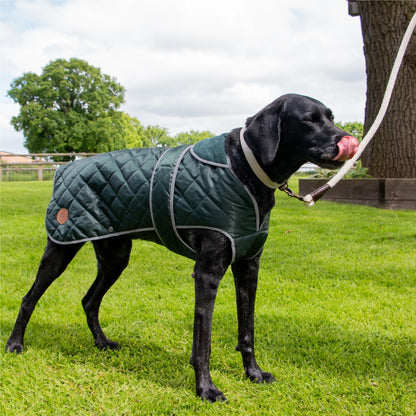Ancol Heritage Quilted Waterproof Dog Coat