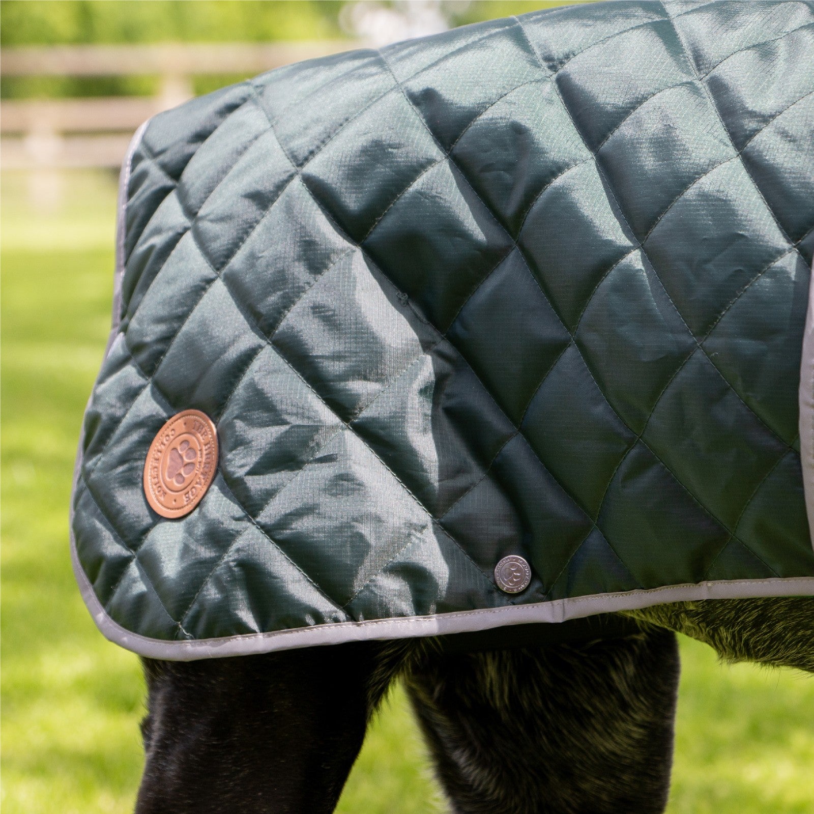 Ancol Heritage Quilted Waterproof Dog Coat
