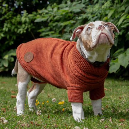 Ancol Cable Knit Dog Jumper