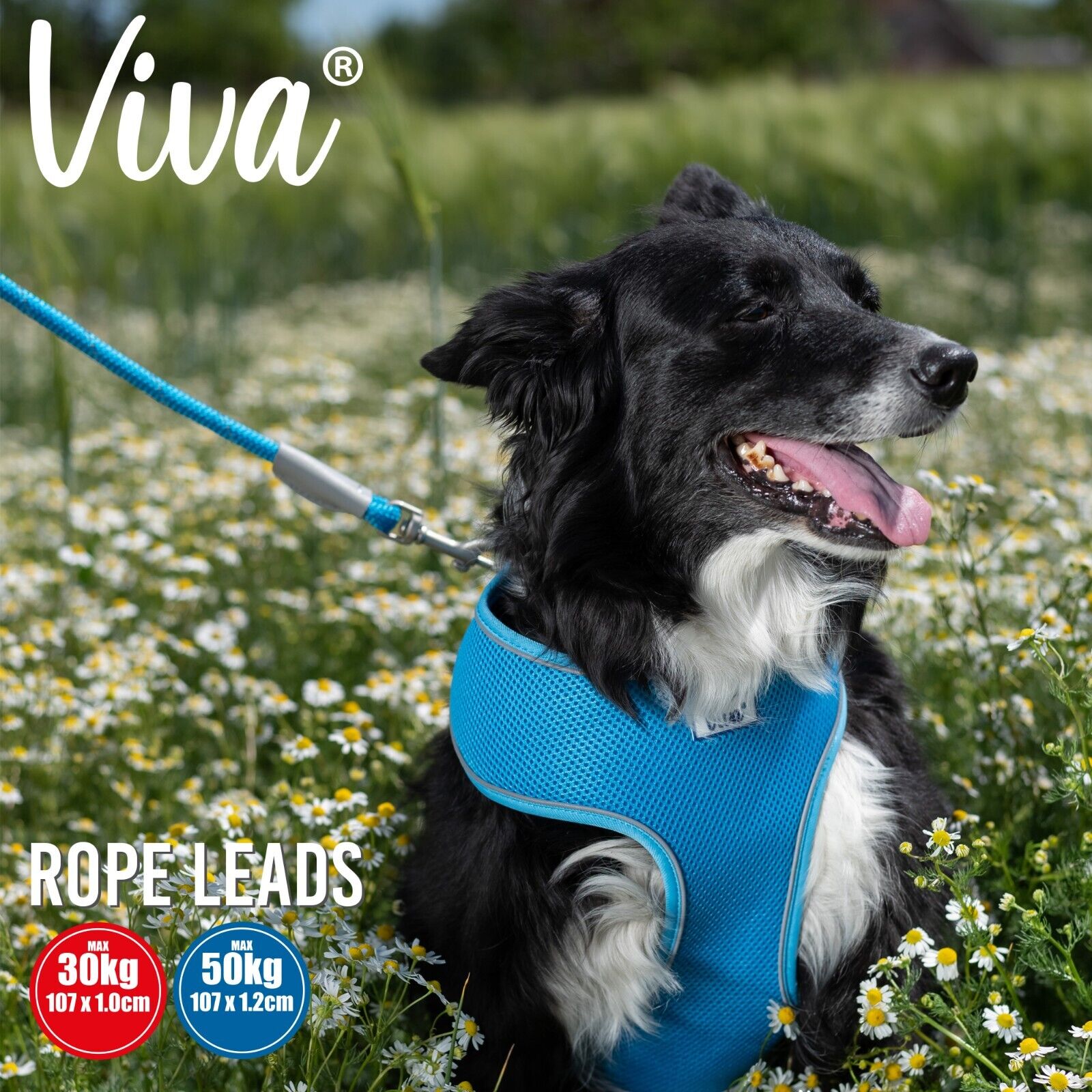 Ancol Rope Dog Lead Strong Viva Nylon Snap Trigger Hook Reflective