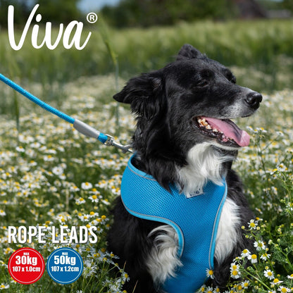 Ancol Rope Dog Lead Strong Viva Nylon Snap Trigger Hook Reflective