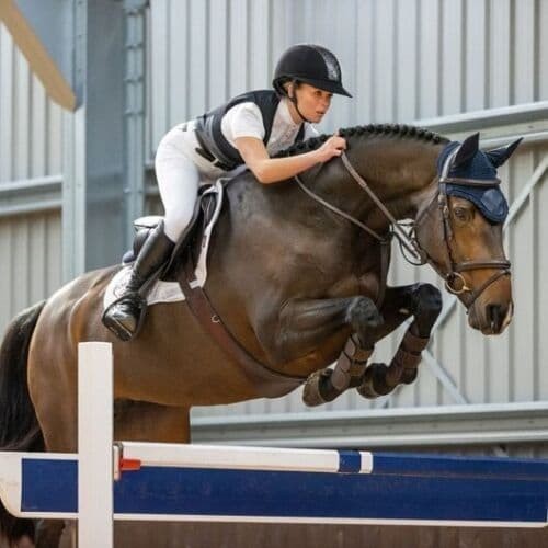 Charles Owen Airowear Shadow Back Protector - Adult and Junior Sizes