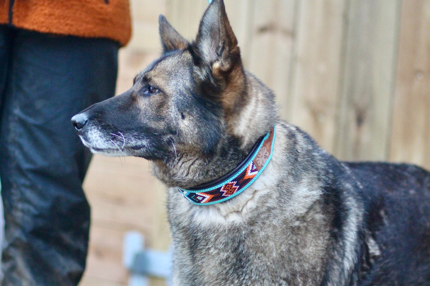 Handmade Padded Turquoise and Brown Leather Beaded Dog Collar with Matching Lead