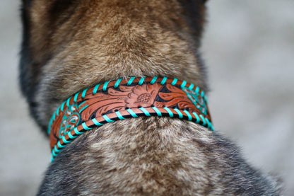 Hand Tooled Brown Padded Leather Dog Collar