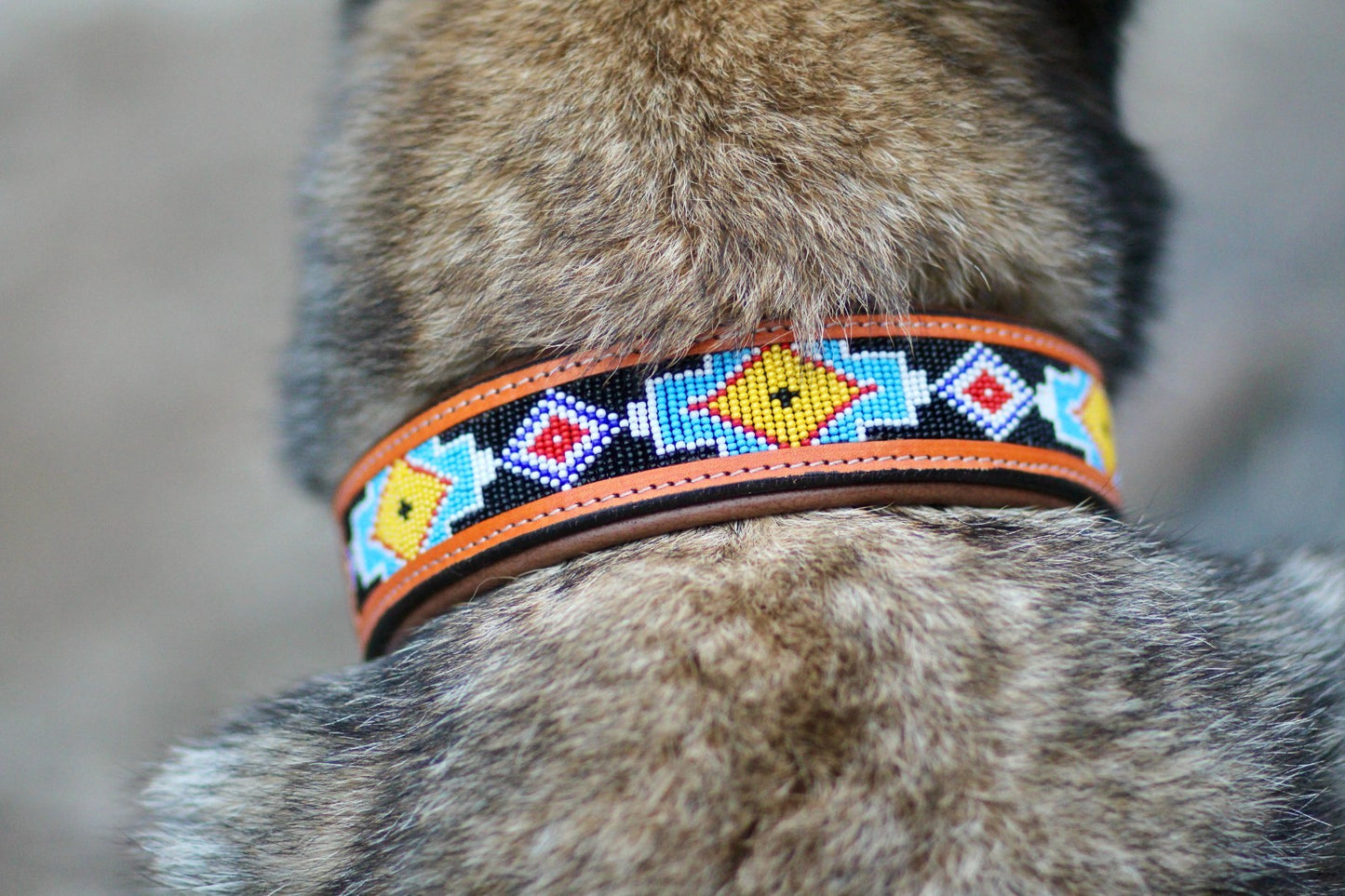 Hand Tooled Brown Padded Beaded Leather Dog Collar